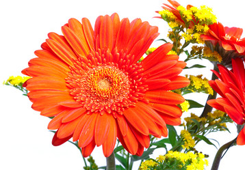 Similar image 928102