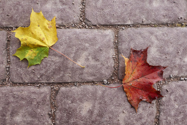 Similar image 928104