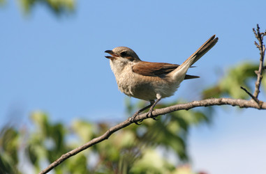 Similar image 928106