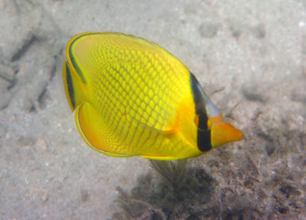 Similar image 928111