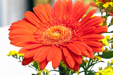 Similar image 928195