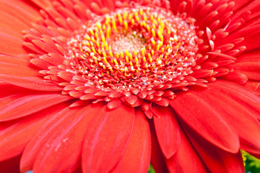 Similar image 928205