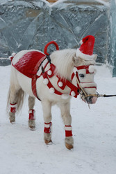 Similar image 928217