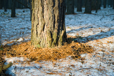 Similar image 928230