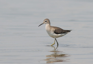 Similar image 928233