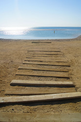 Similar image 928252