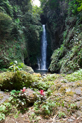 Similar image 928253