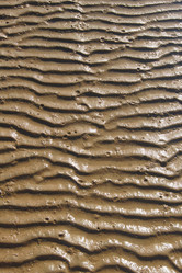 Similar image 928259