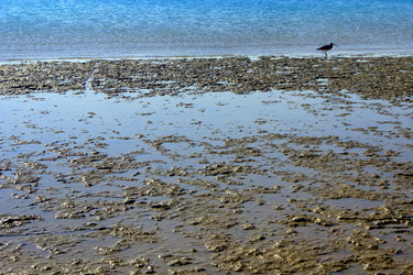 Similar image 928277