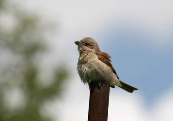 Similar image 928300