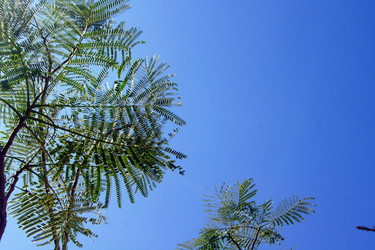 Similar image 928305