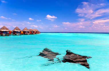 Similar image 928332