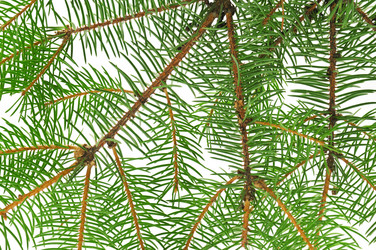 Similar image 928370