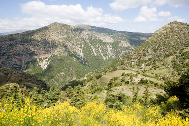 Similar image 928507