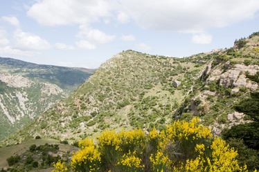 Similar image 928518