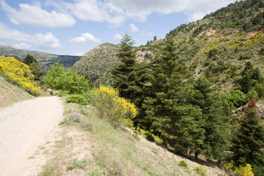 Similar image 928530