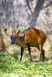 Similar image 928610