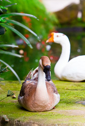 Similar image 928618