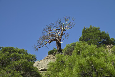 Similar image 928737