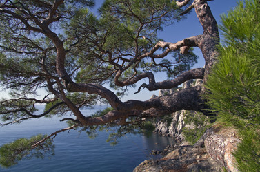 Similar image 928741