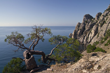 Similar image 928747