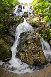 Similar image 928748