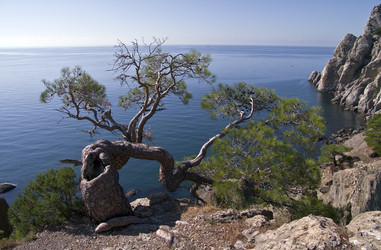 Similar image 928750