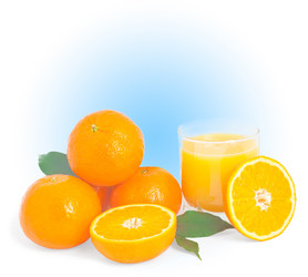 Similar image 928766