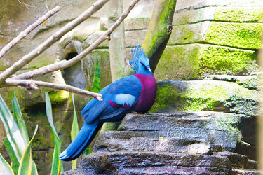 Similar image 928770