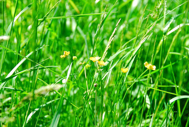 Similar image 928831