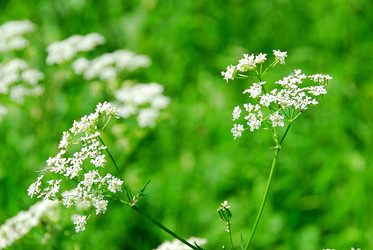 Similar image 928841