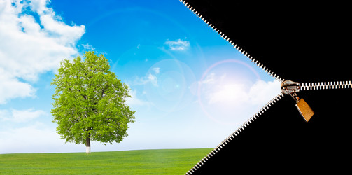 Similar image 928846