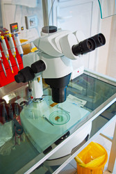 Similar image 928894