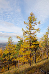 Similar image 929044