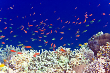 Similar image 929062