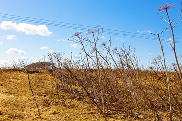 Similar image 929146