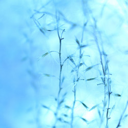 Similar image 929176