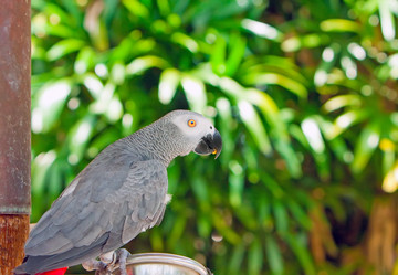 Similar image 929185