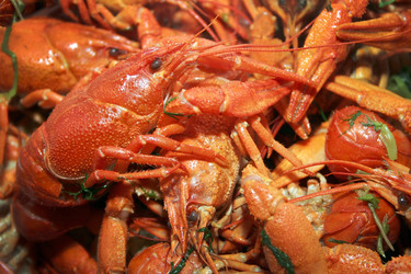 Similar image 929420