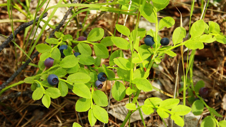 Similar image 929443