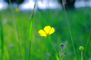 Similar image 929446