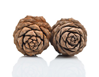 Similar image 929694