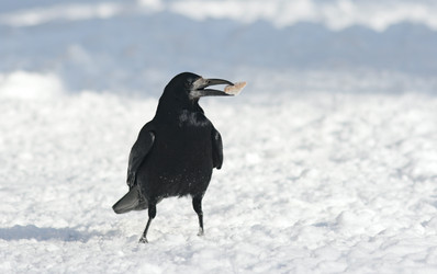 Similar image 929846