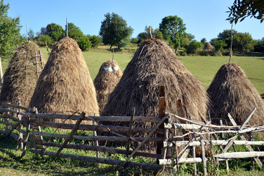 Similar image 929960