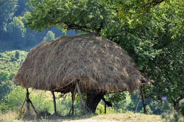 Similar image 929963