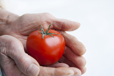 Similar image 930402