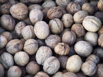 Similar image 930865