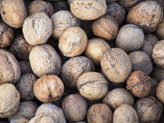 Similar image 930869