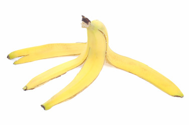 Similar image 931269