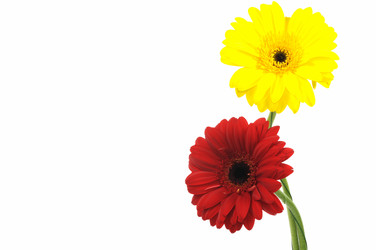 Similar image 931281